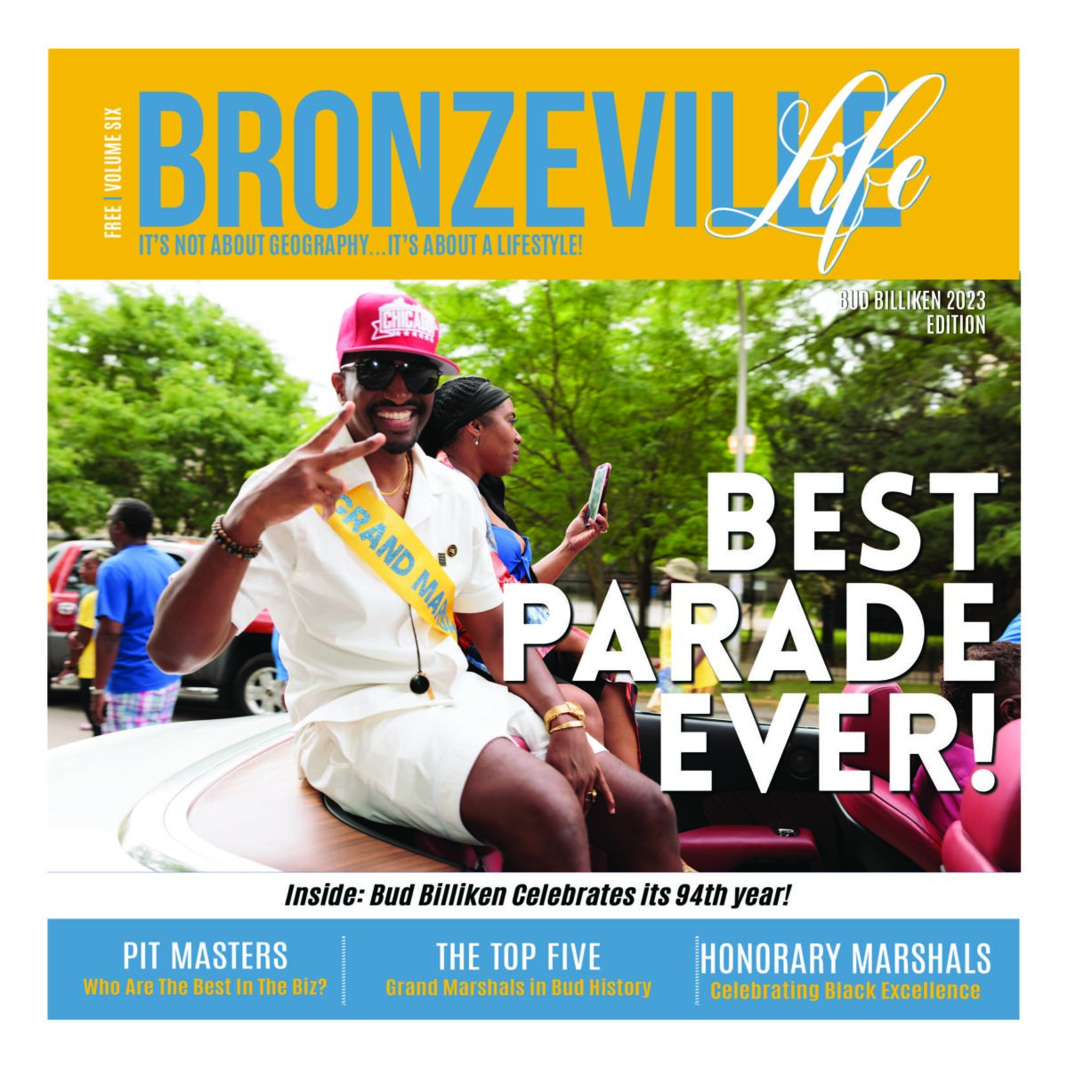 Bronzeville Life